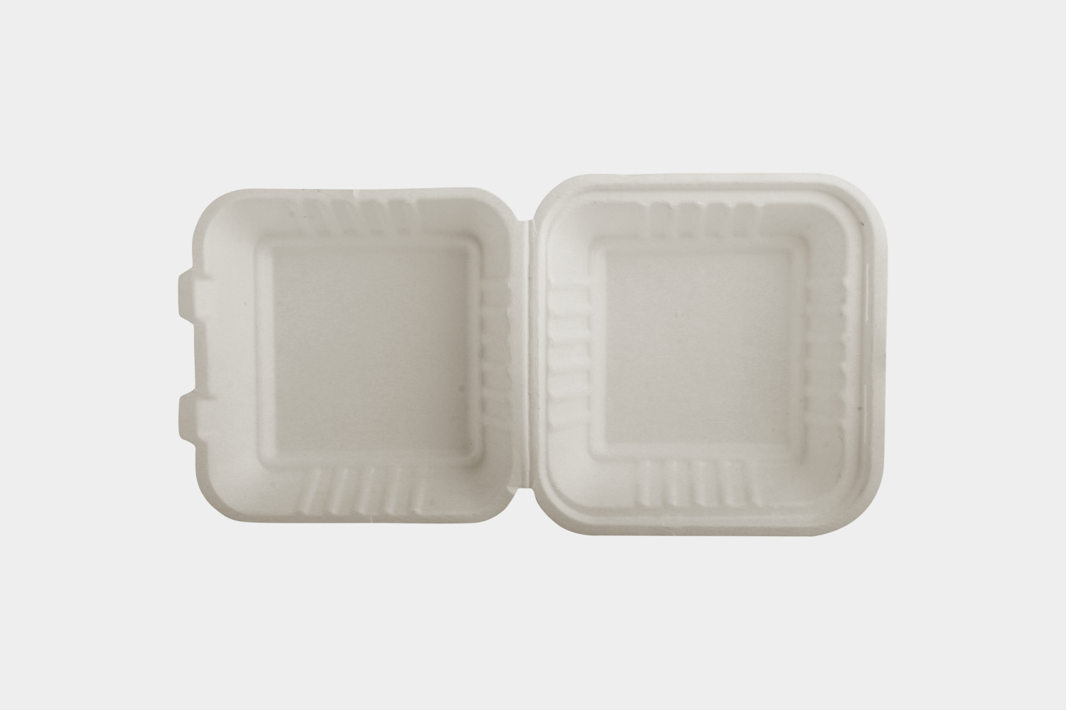 Eco-friendly Disposable Food Container